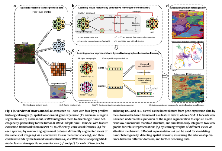 BioDecoded tweet media
