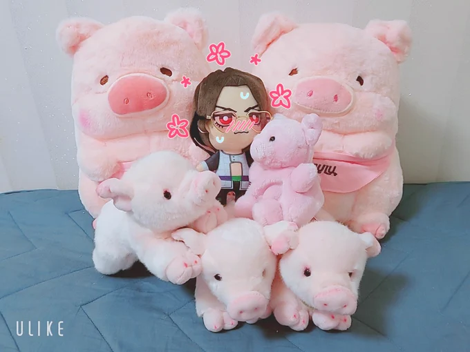 지인들의 선물로 벼락돼지부자가 되었습니다6마리의 돼지들을 부양하게 되어서 가슴이 벅차오르네요제가 잘 키워내서 헤비급 명문돼지가문으로 이끌겠습니다 감사합니다이 기쁜 감정을 제 분신(누이)으로 대체합니다 
