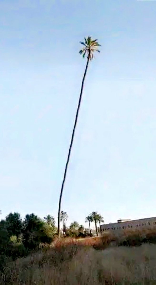 ahmadIbr's tweet photo. @elonmusk That’s @elonmusk  reaching space , twitting and using his underground tunnel https://t.co/cFB6RpFMSD
