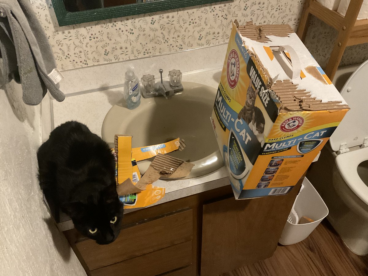 Dr. Kevin Dicus (@dicus_kevin) on Twitter photo my last tweet: <a href="/armandhammercat/">ARM & HAMMER Cat Litter</a> you use waayyyy too much glue in your packaging. how my cat supposed to shit? #CatsOfTwitter my last tweet: <a href="/armandhammercat/">ARM & HAMMER Cat Litter</a> you use waayyyy too much glue in your packaging. how my cat supposed to shit? #CatsOfTwitter