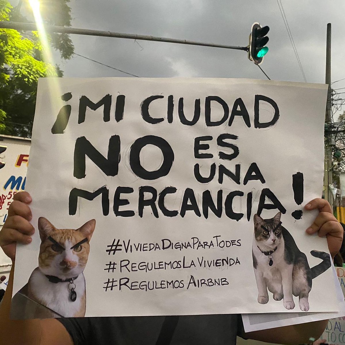 GatitosVsDesig's tweet image. Miau. Hoy estuvimos en las oficinas de Seduvi, en la protesta por el derecho a la vivienda en la CDMX. Entregamos un documento con pliego petitorio, que también compartirnos por aquí. bit.ly/PliegoProtesta… (abajo está completo).