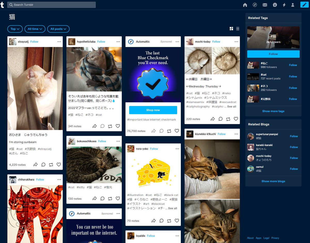 ReinaSweet's tweet photo. Comparing these screenshots: tumblr will likely be my go to for awhile.

Mastodon: There's too many barriers of searching and interaction, but I can at least search for 猫
Tumblr: Threads are confusing to access and underexposed, but, gives a lot of 猫
Cohost: 猫 isn't allowed https://t.co/mzZF4BTS3h