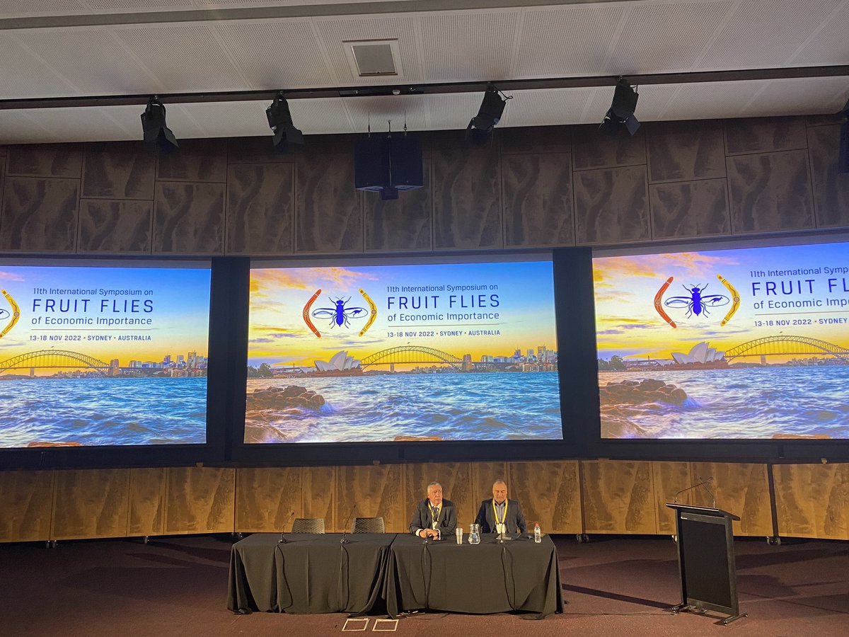 Alvin Hee (@alvinhee_my) on Twitter photo #11ISFFEI Closing ceremony is now underway! So, where will the next venue of the 12th ISFFEI will be? Or where's the next TEAM meeting in 2024? Find out below! #11ISFFEI Closing ceremony is now underway! So, where will the next venue of the 12th ISFFEI will be? Or where's the next TEAM meeting in 2024? Find out below!