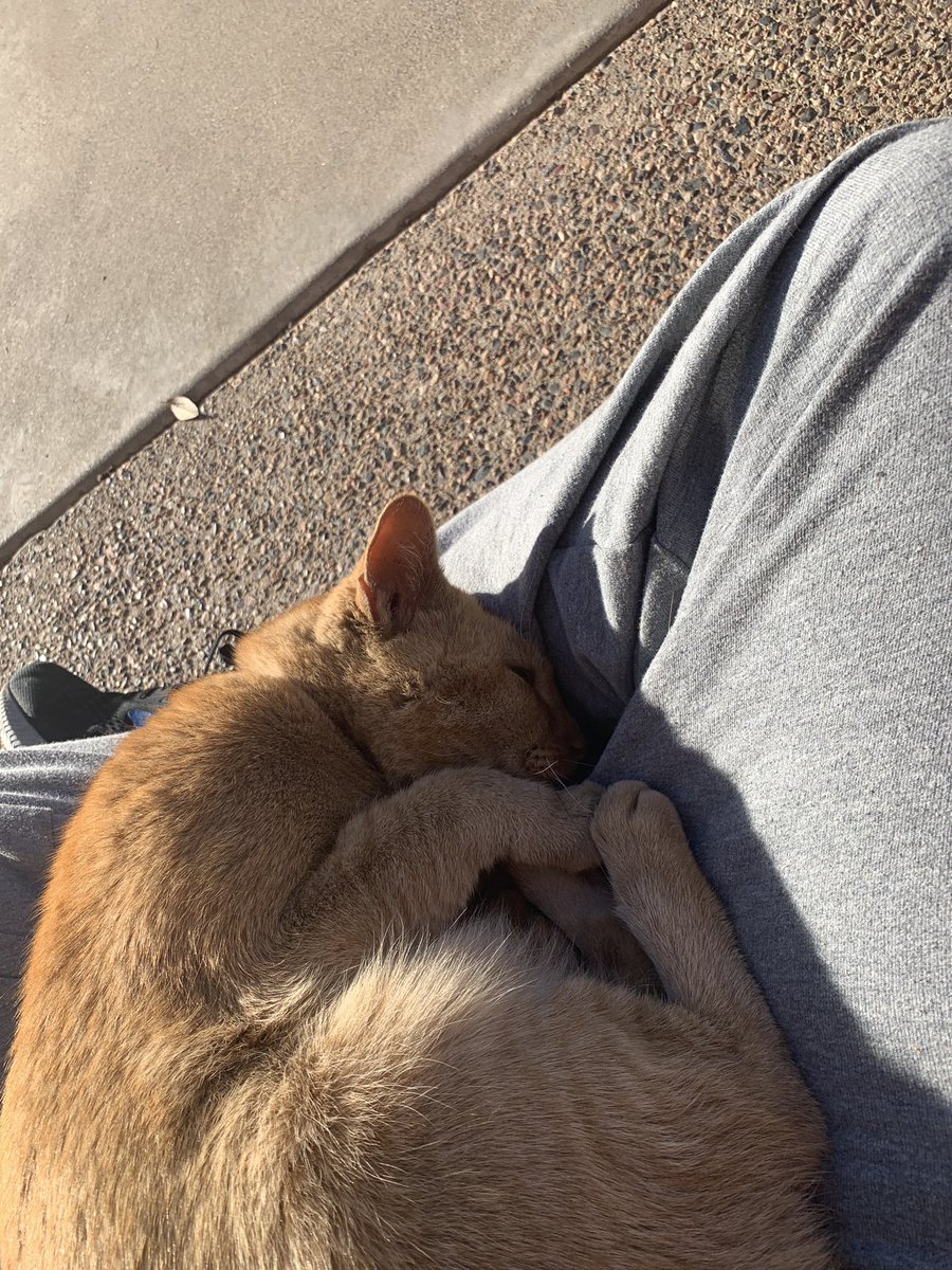 comicchimera29's tweet photo. My life is complete https://t.co/21g82a45Mu