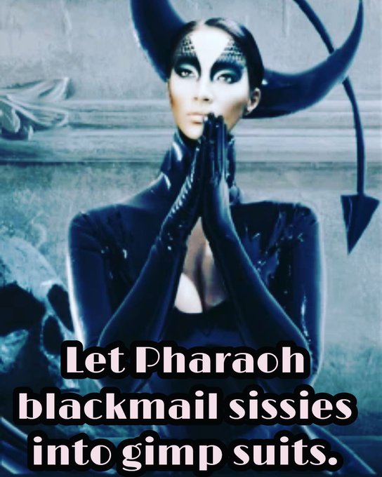 Quote of the day:

Let Pharaoh blackmail sissies into gimp suits.

#quotestoliveby
#quotestagram #quoteoftheday