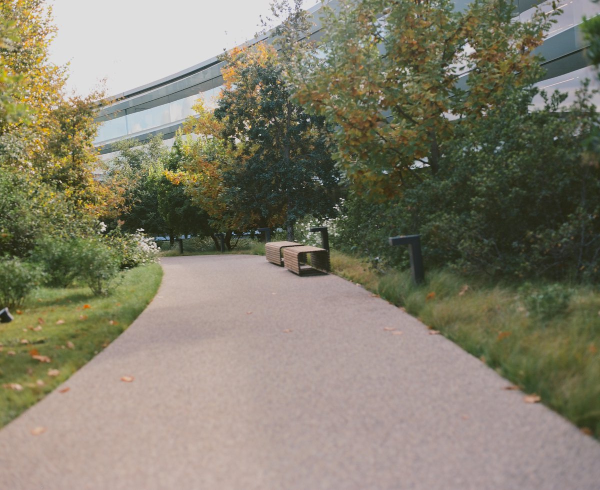 Jason Martens tweet media