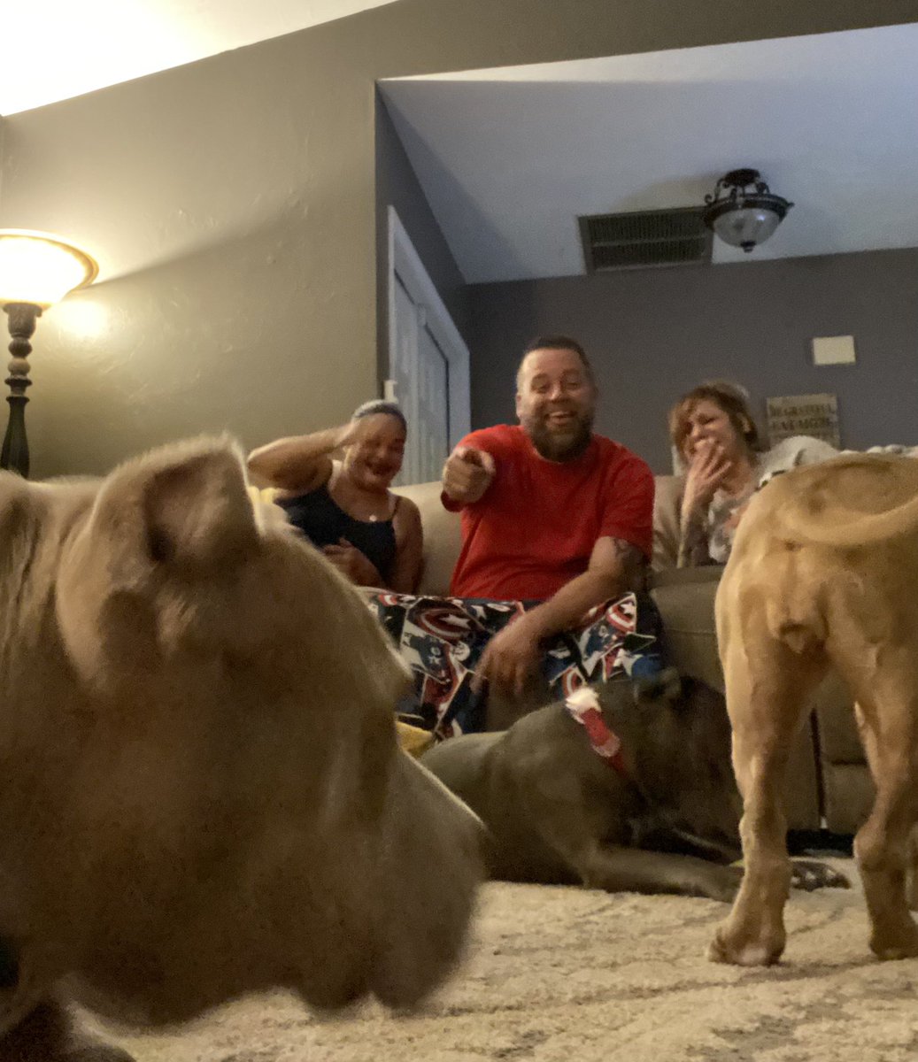 Nights like these at the Sullivan/Lallave home!  #FloridaStrong #pitbullrescue #holidayseason