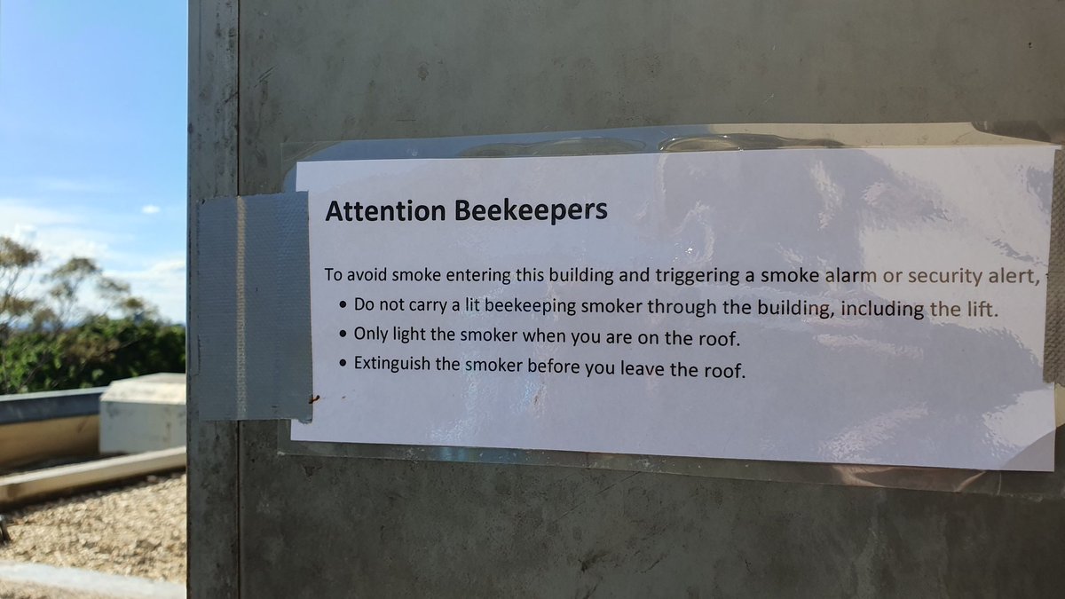 Katrina Rankin tweet media