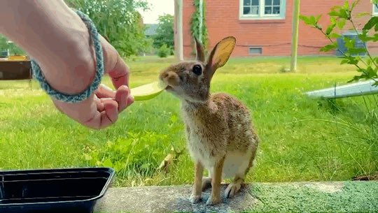 toby atticus fraley tweet media