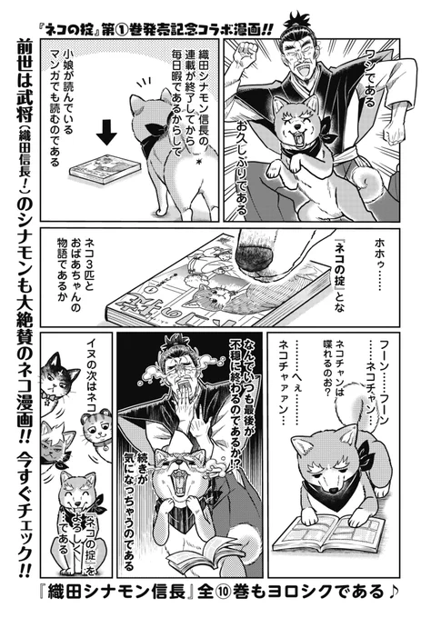 シナモンちゃんも応援に駆けつけました!!!!!
https://t.co/XWLj68i8f1 