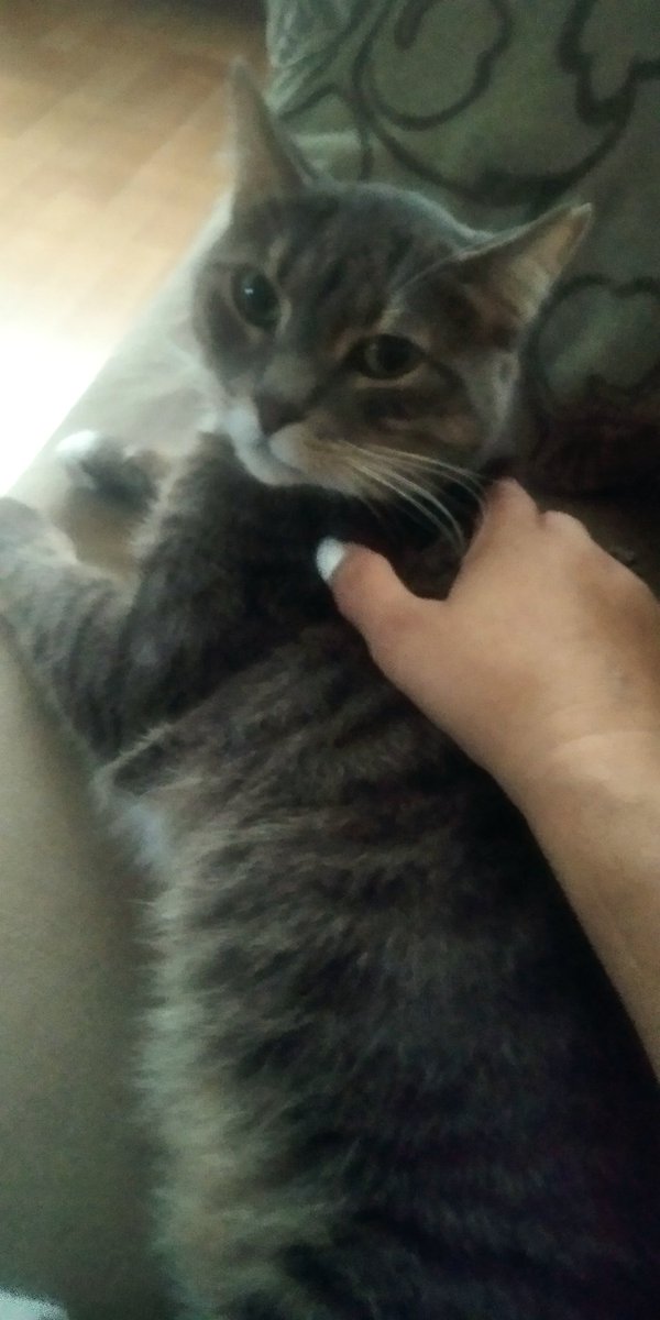 Safiye Koç (@safiye_koc) on Twitter photo 