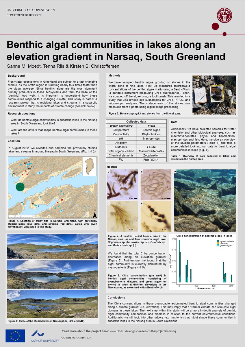 KirstenSeestern's tweet photo. Cyanobacteria dominate benthic algae communities in #Narsaq lakes according to the fluorescence readings by #BenthoTorch®️. PhD student @sannemdt made the first analysis which indicates an elevation gradient. Enjoy her poster. @TennaRiis @BIO_UCPH @BiologyAarhus @Carlsbergfondet https://t.co/MTtS49twJn