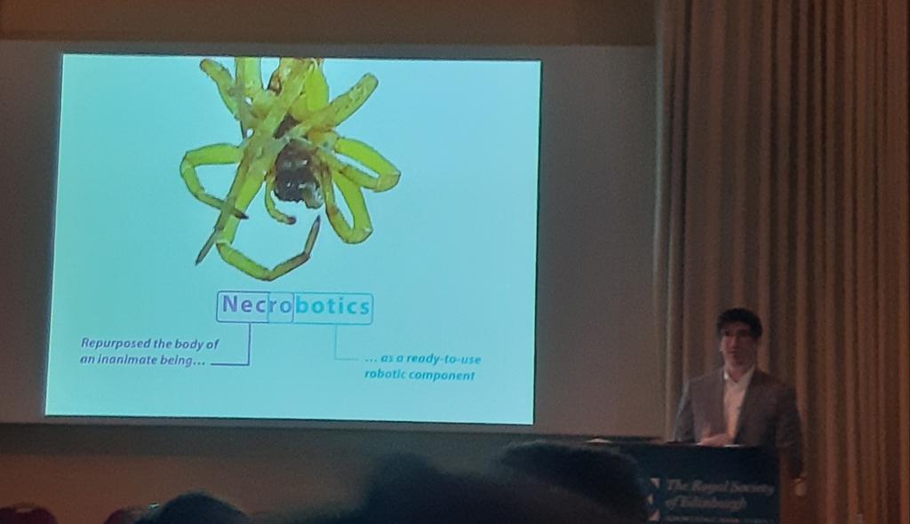 Iwibit2022's tweet photo. Session 5 Fast Precise &amp;Furious #iwibit2022 Very cool exciting stories about the labial mask of the dragonfly larva (@sci_SB) and bioinspired catapults, #necrobiotics by @ProfDanPreston (@ricePILab) &amp; sawfly ovipositor by Martí Verdaguer Mallorquí. https://t.co/HUA8M6Q39l