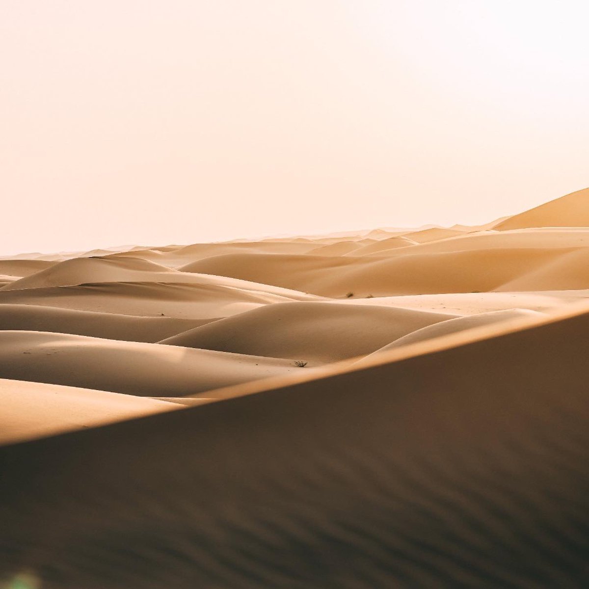 dakar's tweet photo. 🌊 Wave after wave 
#Dakar2023 #Recces https://t.co/sLgbqtlRFT