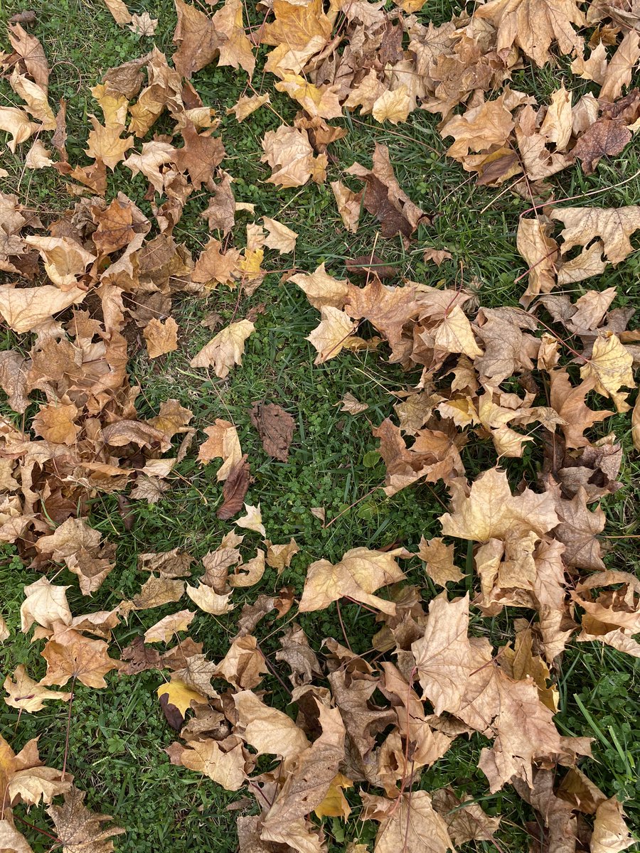 Sonbahar sanattır..