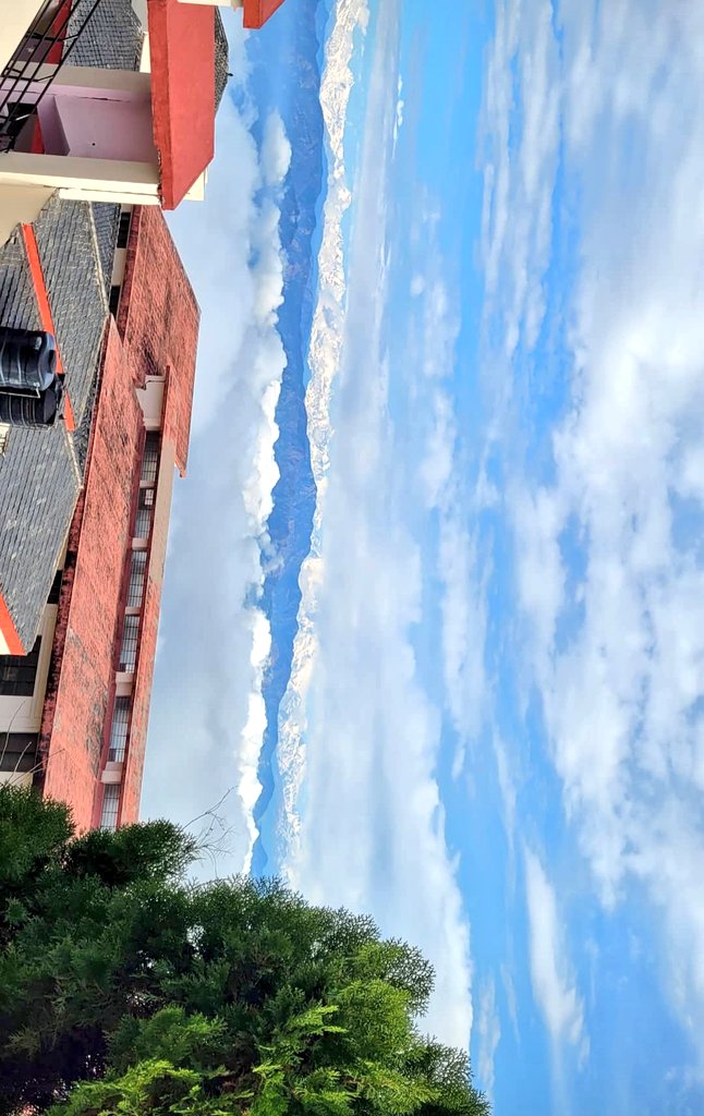 Shivansh tweet media