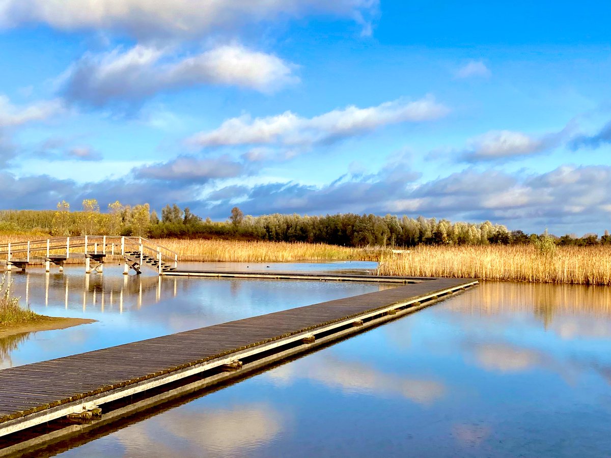 Een prachtige omgeving <a href="/parklingezegen/">Park Lingezegen</a> voor prachtige coachgesprekken. #wandelcoaching