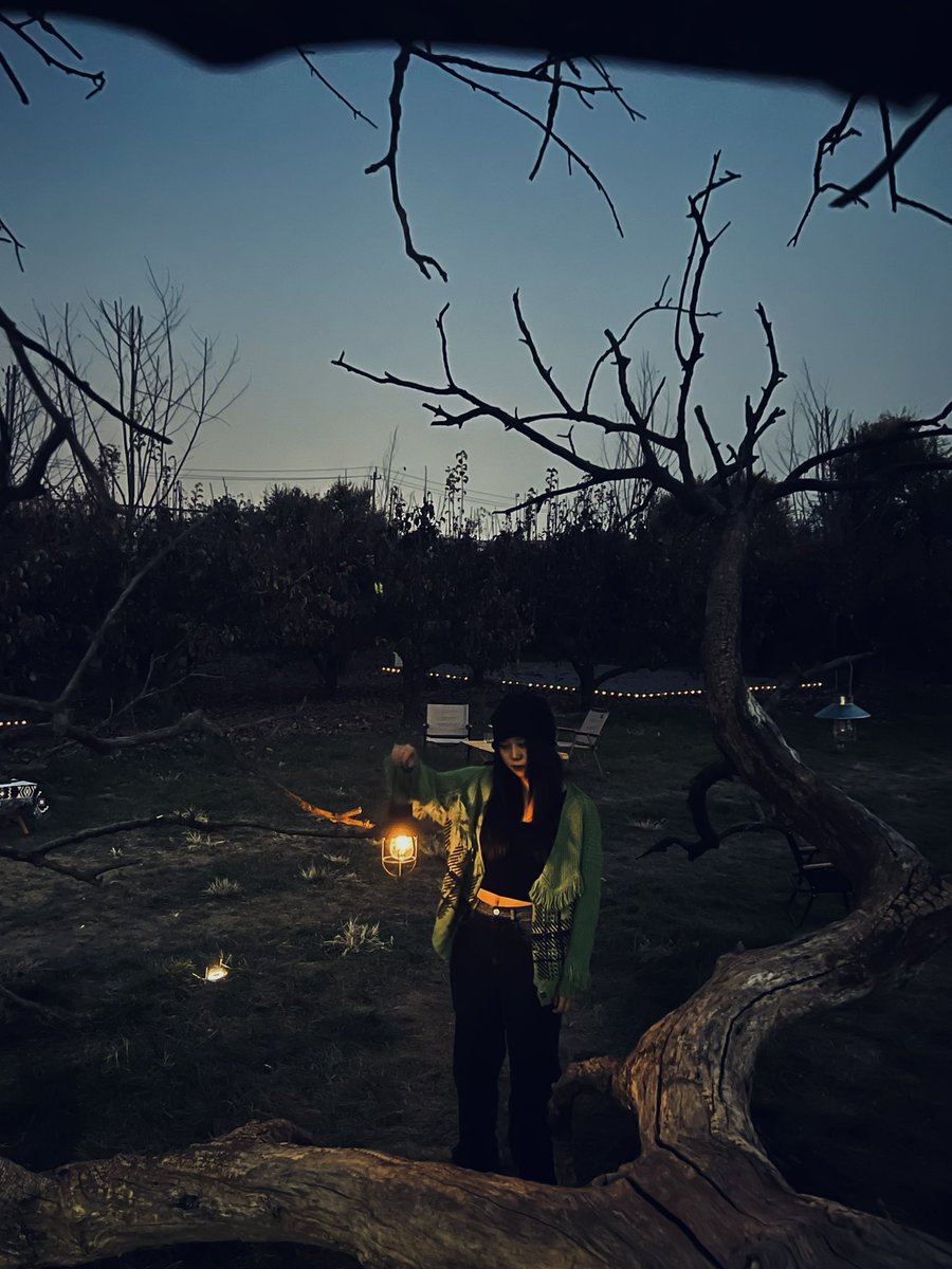 CCDW1995's tweet photo. In the "City Secret Camp" ,there is a "lonely tree",and everyone rushes to clock in. https://t.co/Bv1Q9MTRHT