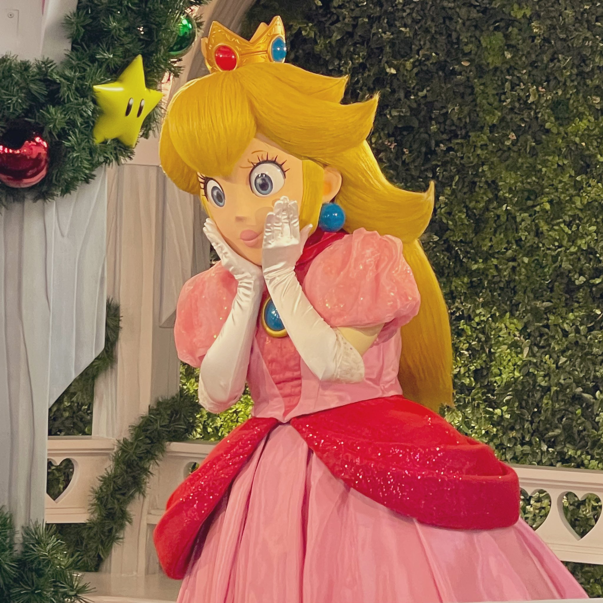 ピーチ姫@様♥専用ページ