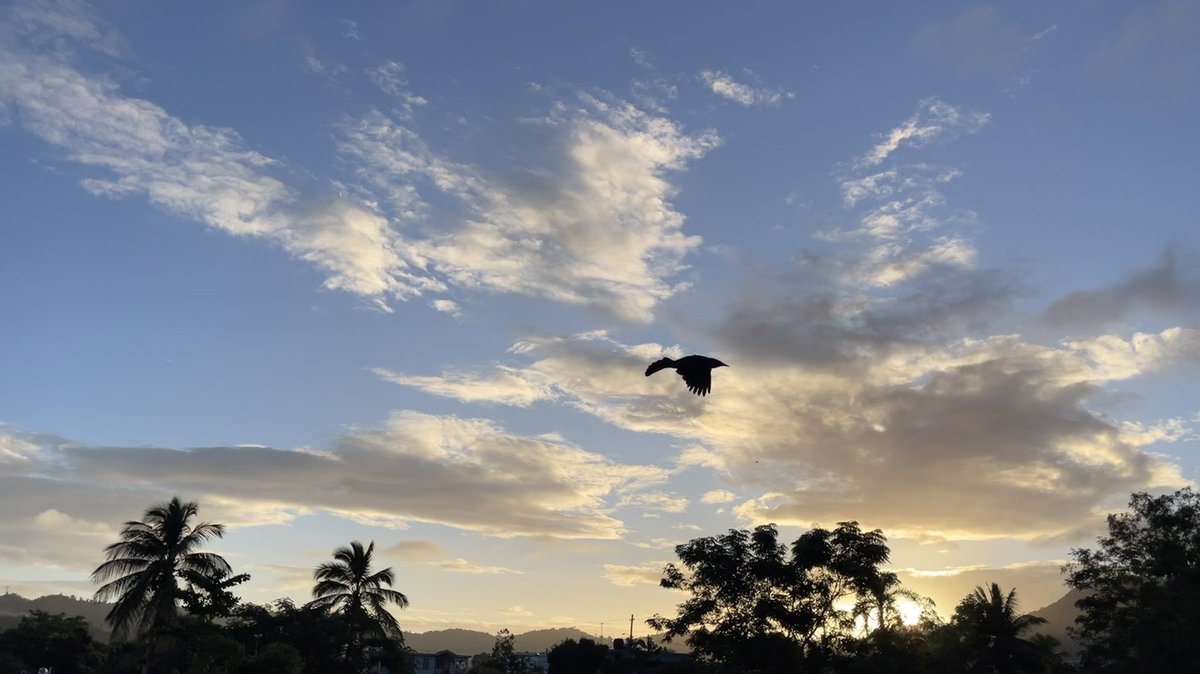 leidyldb's tweet photo. Cuando ponemos nuestros problemas en las manos de Dios, Él pone paz en nuestros corazones🙏Bendecido día❤️ @MariGataRacing @JoseRivera321 @HenriettaGarcia @RayTorres222 @dervinpagan @CidEloisa @linamend02 #goodmorning #FridayMotivation #18nov22 #beautiful #nature #sky https://t.co/x1yLWRODHC