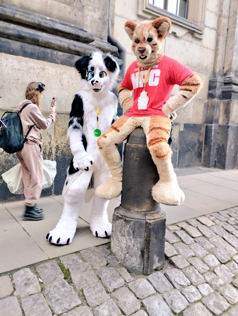 GinFamai's tweet photo. An NPC got stuck xD
Happy #FursuitFriday everyone :3
@BruceDoggo and Famai at #FMD10 https://t.co/BWxo4ax4bp