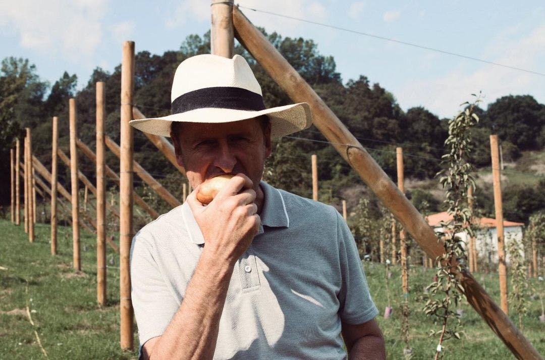 Herbert Diess looking at the downfall of VW Group as they walk back on the EV transition he started like: