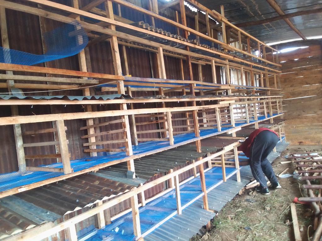 cojeebu's tweet photo. Le projet de @construction du pont #Rabbit a atteint un taux d'achèvement de 90 % à @COJEEBU. C'est grâce au plan du #PAEEJ d'accompagner les aspirations des jeunes. Malgré cela, il reste encore un long chemin à parcourir car nous avons très peu d'argent https://t.co/7pWy9MjvXF