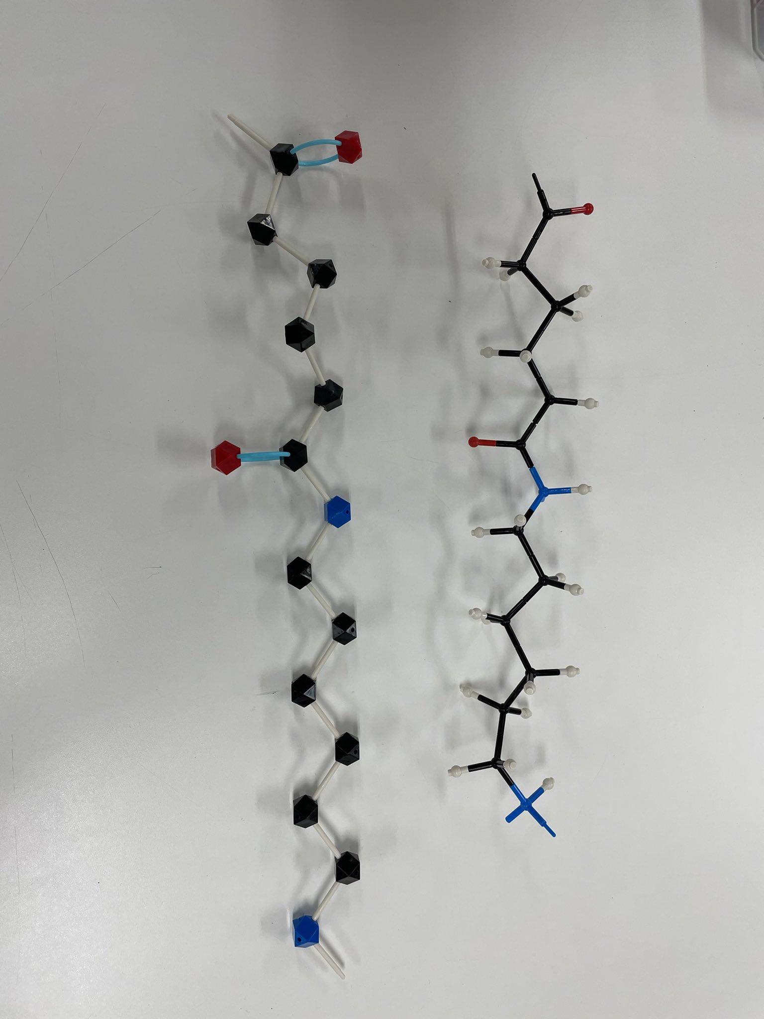 丸善 HGS 立体化学 分子模型 アドバンスドセット 7000