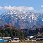 ツイートに含まれる画像