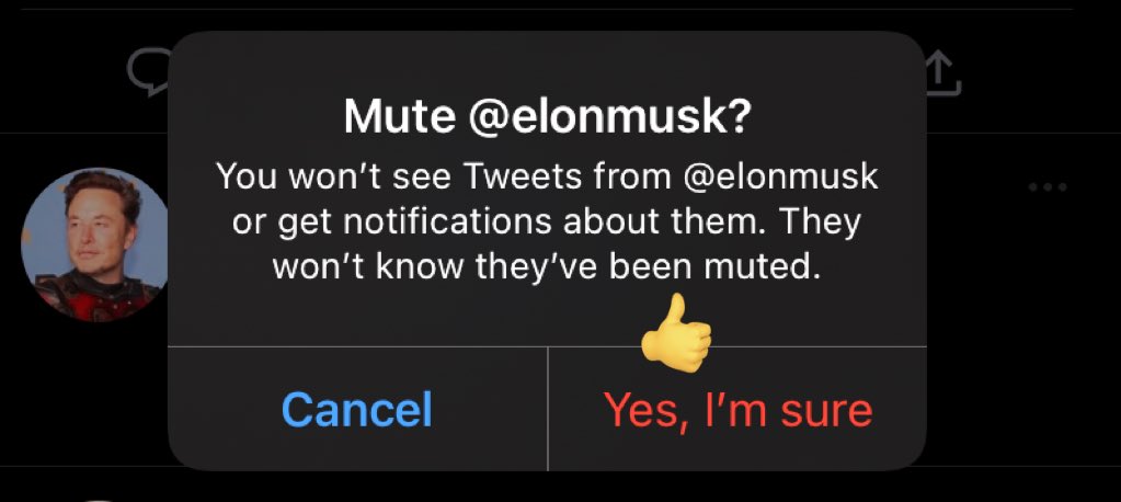 KatjaBessonova's tweet image. Had to be done. #MuteElonMusk