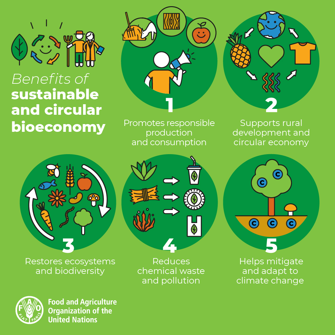 Did you know that, among other benefits, transitioning to a sustainable &amp; circular bioeconomy can help to mitigate &amp; adapt to #ClimateChange?

Learn more about the impacts of #bioeconomy on the #ClimateCrisis &amp; our agrifood systems 👉 bit.ly/3E9c6zO

#COP15