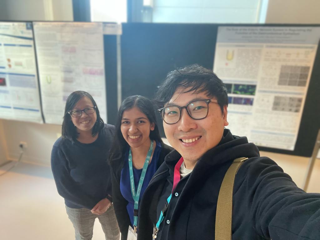 Amanda Ton tweet media