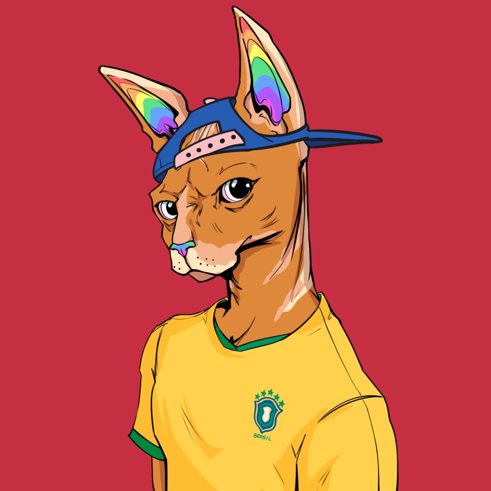 Who is supporting Brazil 🇧🇷 for the FIFA World Cup 2022! Show some Sphynx some ❤️ by showing us your #NYAWISHOPPING &amp; get a chance to Win 2 types of Sphynxs! 

@TheSphynxUS #feelingNYAWISH