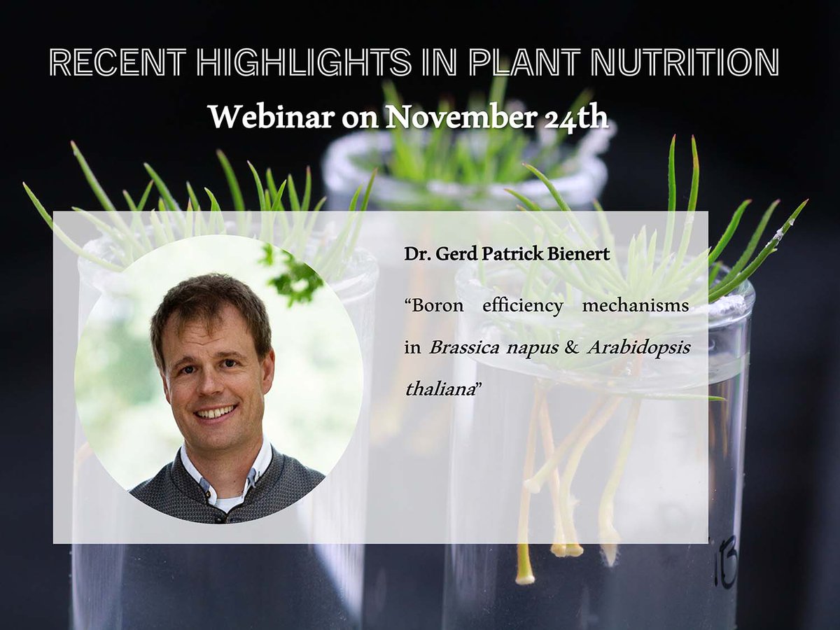 “Boron efficiency mechanisms in Brassica napus &amp; Arabidopsis thaliana” is the focus of Dr. Gerd Patrick Bienert talk during our webinar "Recent Highlights in plant nutrition". For more info about program and registration bit.ly/3E4n1uI 
<a href="/PlantSpps/">Scandinavian Plant Physiology Society - SPPS</a>