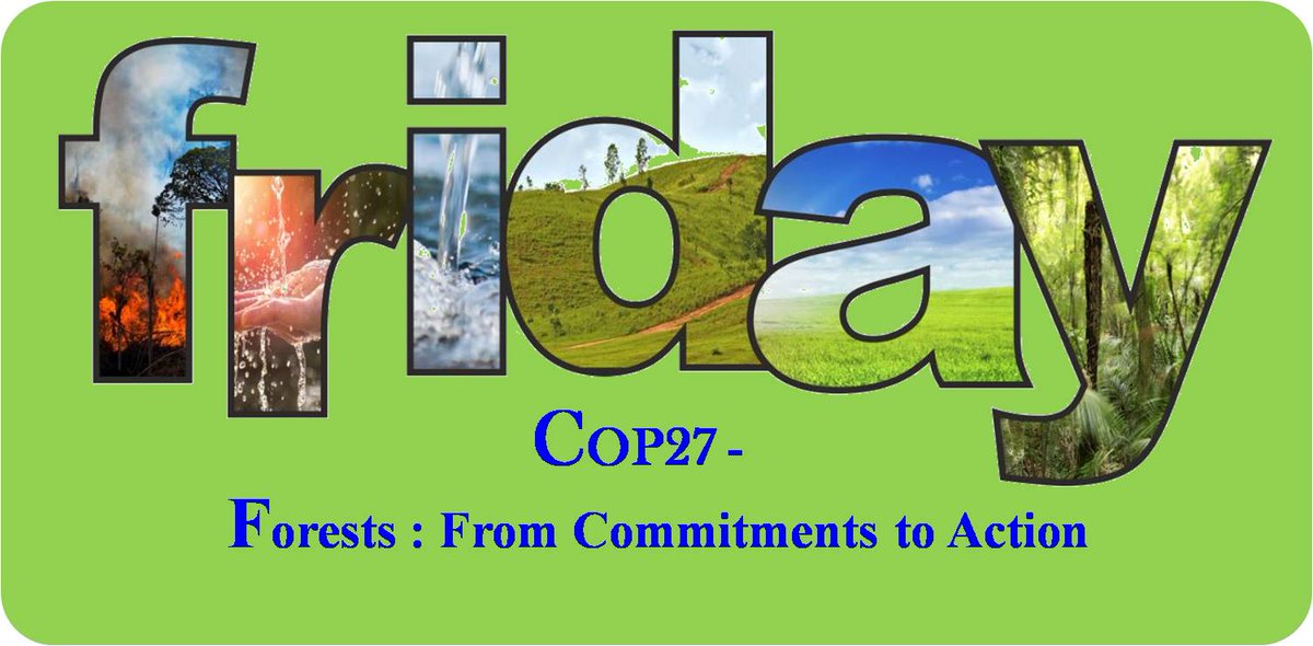 IndiaWaterFoun1's tweet photo. Dear Friends, please find my blog on "Friday #COP27- "Forests : From Commitments to Action" published in #FocusGlobalReporter. Please feel free to share your comments and suggestions for improvement.....Click here- https://t.co/u2cWw09UHU @byadavbjp @moefcc @UNFCCC https://t.co/4EzRdkVbiX