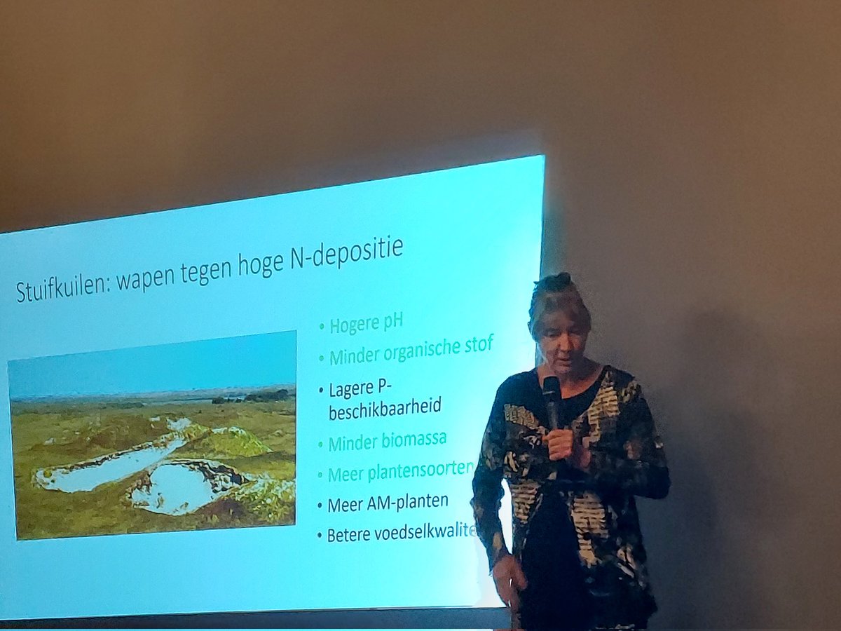 ErikvdSpekTexel's tweet photo. #levendeduinen stuifkuilen wapen tegen te hoge N-depositie in de duinen, het gaat minder slecht met de duinen maar nog niet goed https://t.co/eEMhPNZmeA