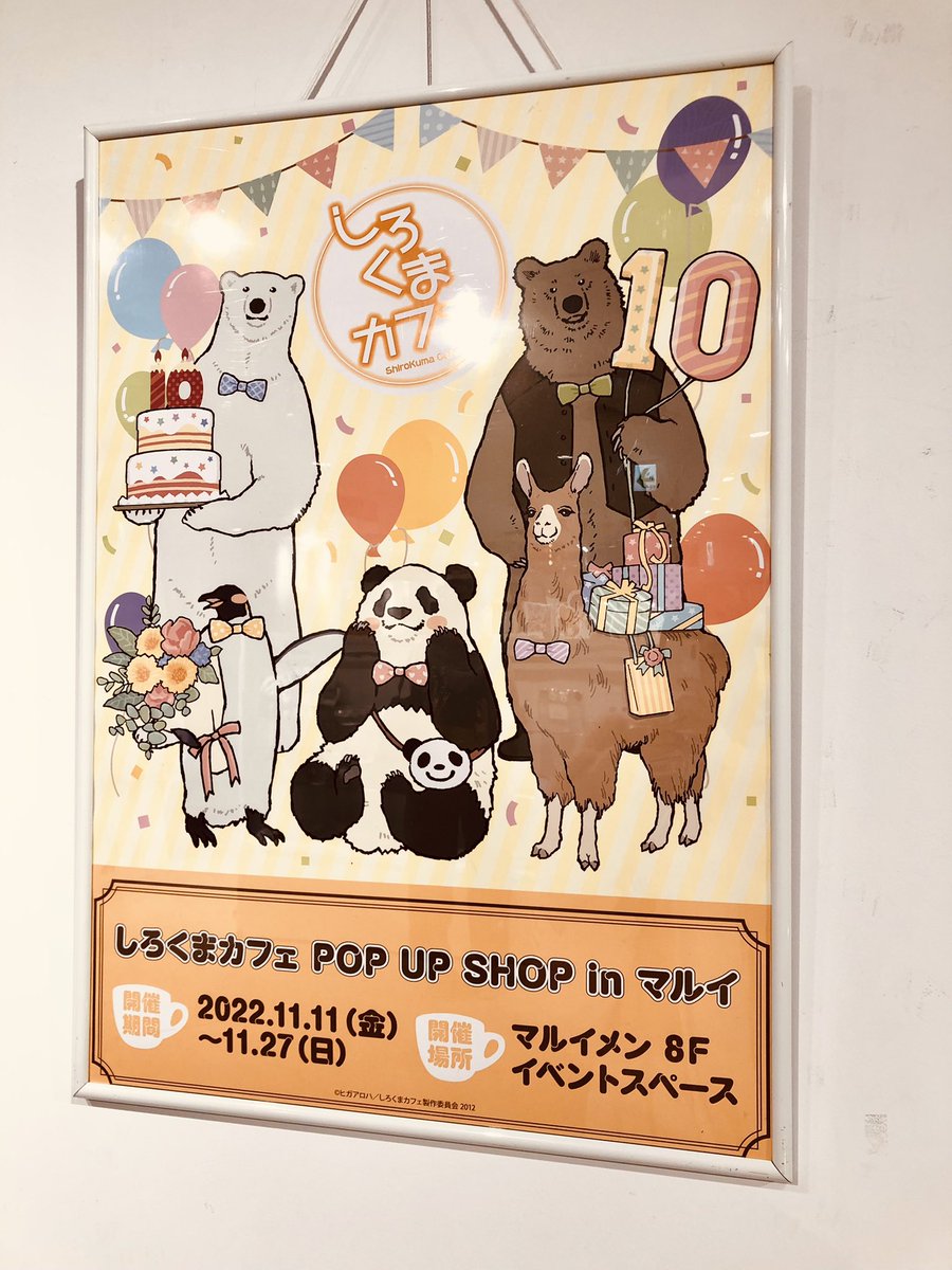 ヒガアロハ Polarbearcafe Alohahiga Twitter ヒガアロハ Polarbearcafe Alohahiga Twitter