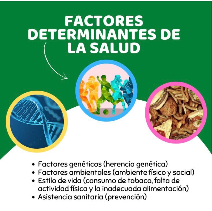 DavidyMarta_EF's tweet photo. ¡Buenos días! En la última sesión teórica estuvimos viendo los factores que determinan la salud ¿Los conocías? ¿Sabrías distinguirlos? @EFsaludable_UIB #22121_UIB https://t.co/wsPsi1jWVj
