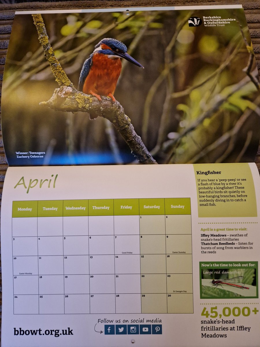 Award winning photo taken by Zachery and published in wildlife trust calendar 2023 <a href="/PlantbrkSchool/">Plantsbrook School</a> <a href="/MrsJeffsGg/">Mrs Jeffs</a> @MYSTERFARR <a href="/ozzjim1/">Rich🦁</a>