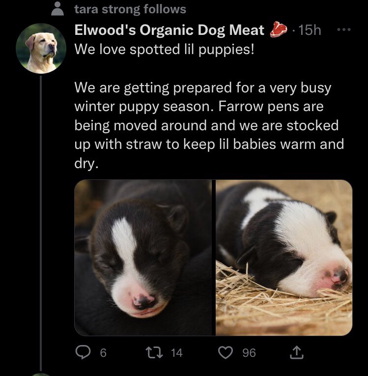 I N O Ⓥ on Twitter "As much as I love Tara.. what the fuck is this