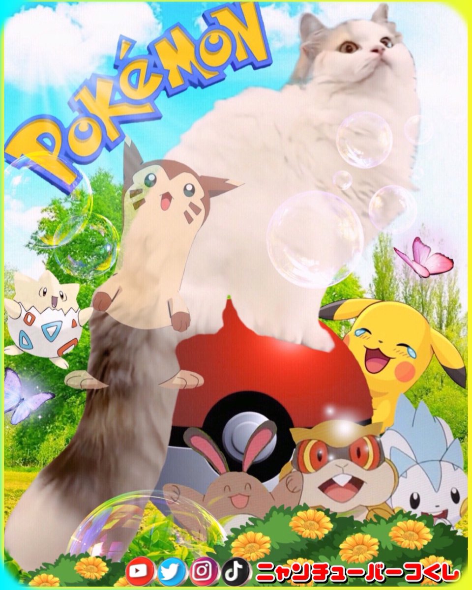 もっちもち (@OrEfwQpknUoCVYW) / Posts / X