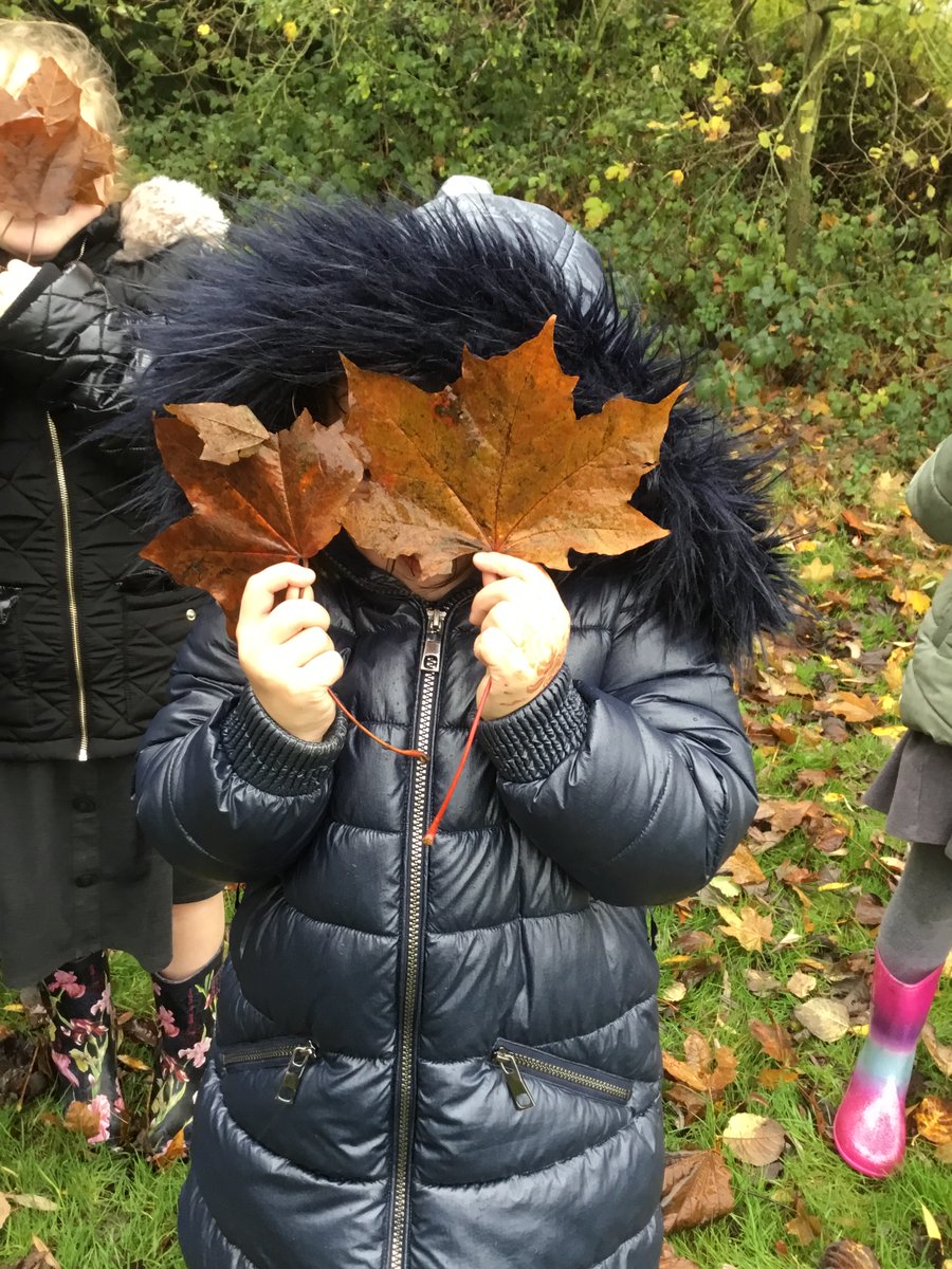 Fallings Park Primary School tweet media