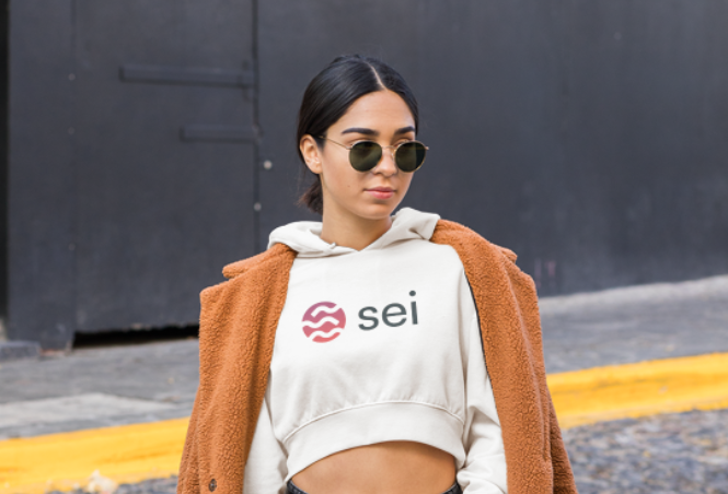 crypto_diam0nd's tweet photo. @SeiNetwork
 Are you thought about the design for your users?

#seilors, #sei, #seinami, #seiyes, #seilorgang, #IBCseilors, #cosmos, #DeFi, #blockchain https://t.co/XnsXQzFcfi