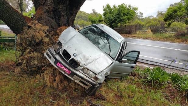 Karalee Evans tweet media