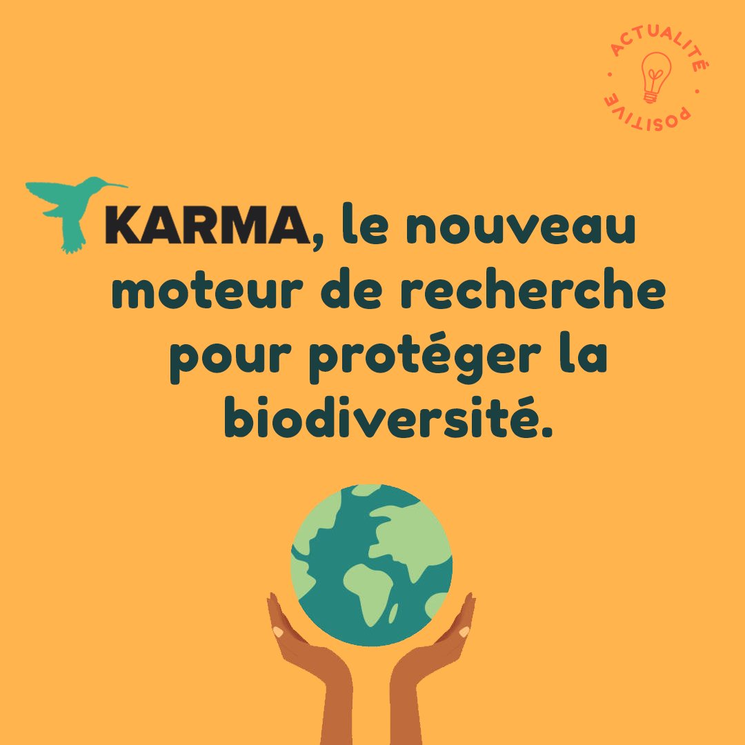 Programme Noé tweet media