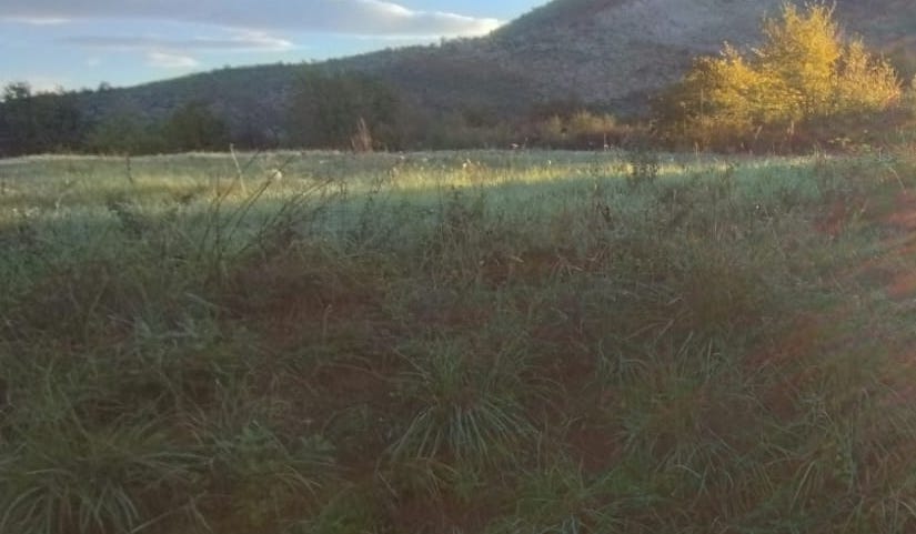 Tante cose sono importanti nella vita ma credo le prime da fare siano: amare, essere se stessi, imparare a perdonare, pregare per se stessi e per altri, il resto, sono... ciliegie, vengono normalmente. Il domani certo ripagherà questo stile di vita con benedizioni. Buona giornata