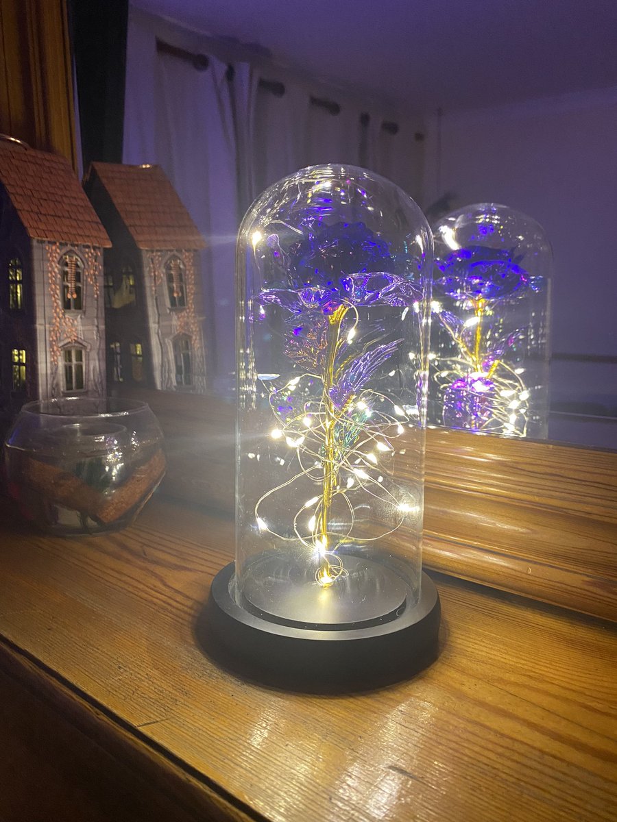 Cazza040's tweet photo. Such a wobbly day yesterday….slept nearly all day and all night…using my purple rose sent as a gift to help with healing…..ironic as 💜 is also used for #WorldPrematurityDay2022 …which is today. Huge strength of these babies to survive under amazing care! https://t.co/rWVhj9WfAw