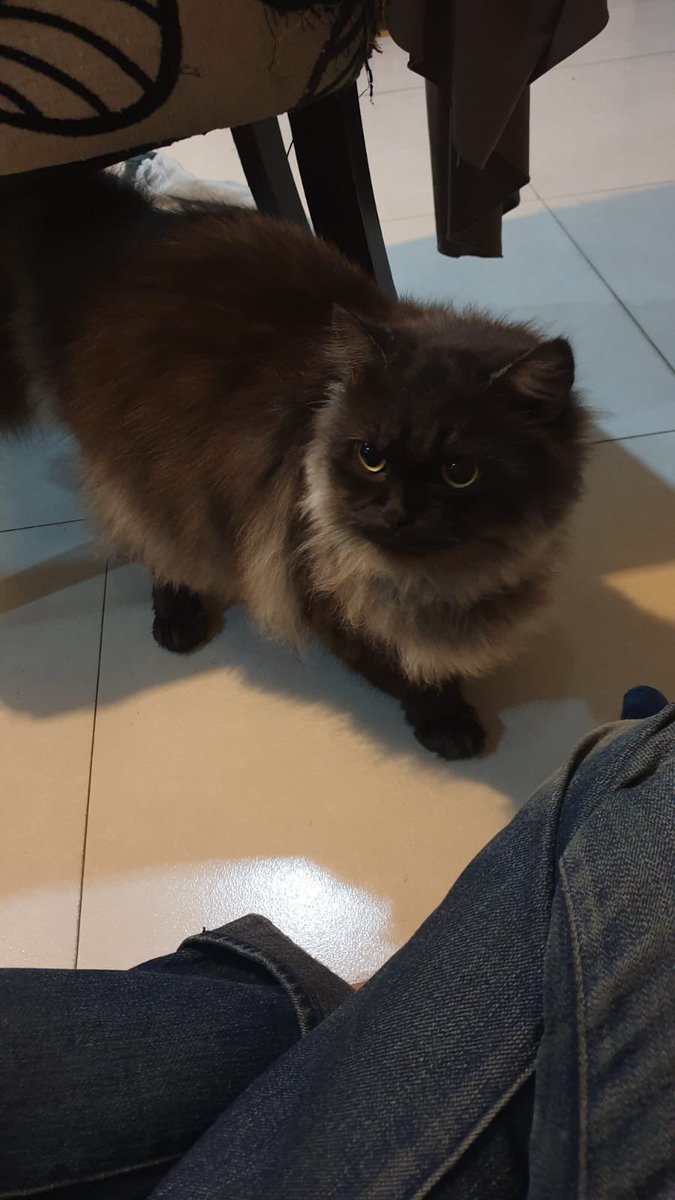 Selingkuh dr nala. Jgn bilang2 ya
