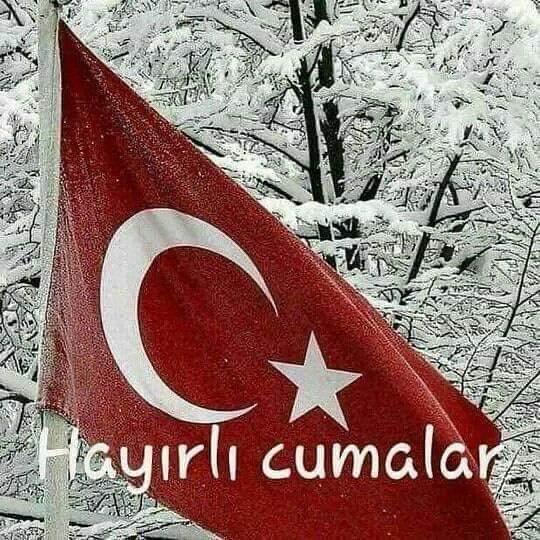 Mehmet Sönmez (@mehmets17791231) on Twitter photo 