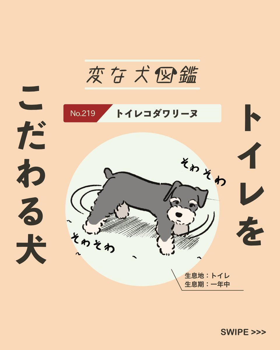 【#変な犬図鑑】
No.219 トイレコダワリーヌ
うんちの時にくるくる回るあの犬です。 